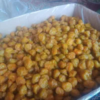 فروش الو طرقبه سبز