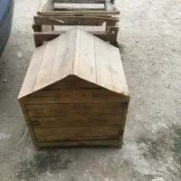 لونه سگ مرغ