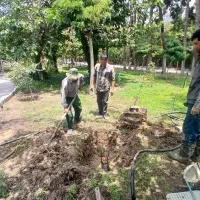 نیروی فضای سبز و باغبانی