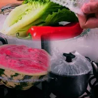 روکش محافظ غذا