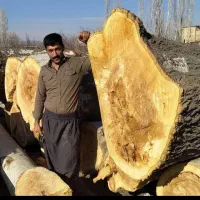 با سلام خرید انواع چوب پالت سه لای گردو و....|خدمات باغبانی و درختکاری|فیرورق, |دیوار