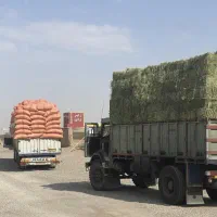 یونجه و کاه گندم وکدو دامی|عمده‌فروشی|مشهد, مهدی آباد|دیوار