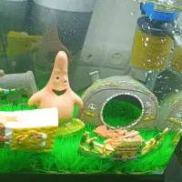 آکواریوم سالم در حد نو