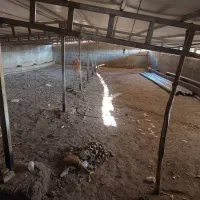 اجاره واحددامداری سنتی|اجارهٔ دفتر صنعتی، کشاورزی، تجاری|کوهین, |دیوار