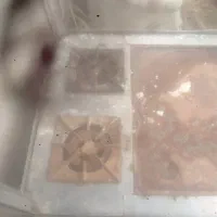 فر ساندویجی