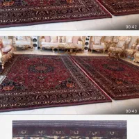 فرش دستباف بدون پوسیدگی ریشه ها سالم قاضی خان