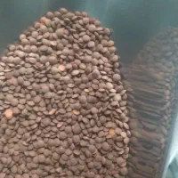 انواع حبوبات ایرانی وخارجی وبرنج کامفیروزی|خوردنی و آشامیدنی|شیراز, شیشهگری|دیوار