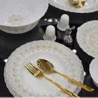 چینی و آرکوپال ایران و امارات با تخفیف