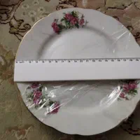 ظروف چینی اصل|ظروف سرو و پذیرایی|فردیس, نسترن شرقی|دیوار