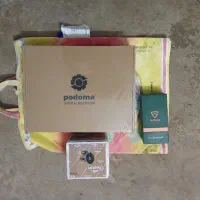 دزد‌گیرمنزل