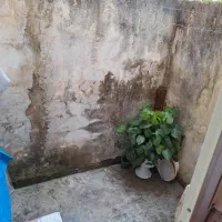 راه مستقل 68متر+20مترحیاط خلوت/خیابان مصطفی دوست|اجارهٔ آپارتمان|آستانه اشرفیه, |دیوار