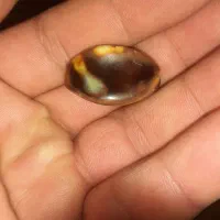 سنگ قیمتی|جواهرات|باغستان, |دیوار