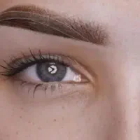 مدل میکروبلیدینگ و فیبروز (رایگان)