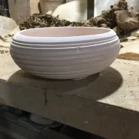 ثبت پیش سفارش سبزه عید|گل و گیاه طبیعی|کردکوی, |دیوار