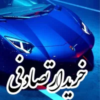 206/تصادفی و چپی