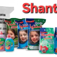 جذب مترجم خانم مسلط به زبان عربی