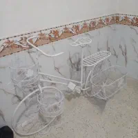 استندگل|گل و گیاه طبیعی|پاکدشت, حصار امیر|دیوار