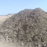 بار کود گوسفند|خدمات باغبانی و درختکاری|سبزوار, قصبه غربی|دیوار