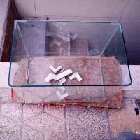 آکواریوم شرکتی شیشه خم   ماهی زینتی