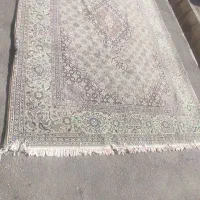 فرش ماشینی ۶متری جفت|فرش|تبریز, |دیوار