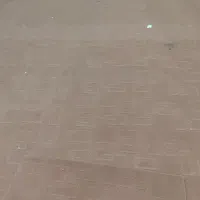 موکت|موکت|کرمان, |دیوار