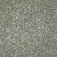 با این شماره تماس بگیرید