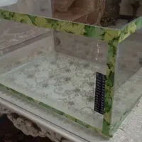 اکواریوم ماهی