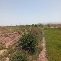 فروش زمین کشاورزی زراعی آب چاه تربت حیدریه|فروش دفتر صنعتی، کشاورزی، تجاری|مشهد, کوی ولیعصر|دیوار
