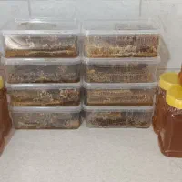 عسل طبیعی خلخال با کیفیت عالی
