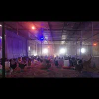 فروش مرغ و خروس(دعوت به همکاری)