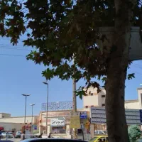 فروش-زمین-4700متری-روبروی-بیمارستان-پیروز-لاهیجان