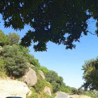فروش وسایل کبابی