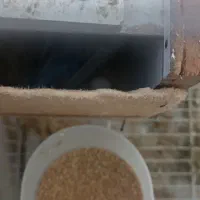 اسباب|اسباب‌بازی بچه|شادگان, |دیوار