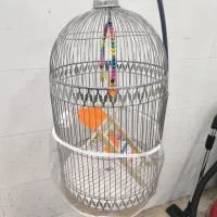 قفس پرنده|لوازم جانبی حیوانات|نیشابور, محله میدان باغات|دیوار
