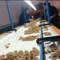 کارگر ساده خانم و یک حسابدار خانم بصورت پاره وقت|استخدام صنعتی، فنی، مهندسی|آذرشهر, |دیوار