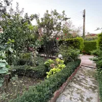 فروش ویلا شهرکی مشجر ۳۶۰ زمین در عباس آباد|فروش خانه و ویلا|عباس‌آباد, |دیوار