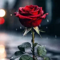 سلام لطفا راهنماییم کنید درباره  بیماری ودرمان