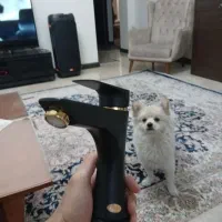 شیر روشویی برای سرویس