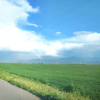 بذرگمدم تیرگان