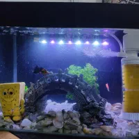 اکواریوم تمیز