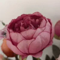 گل مصنوعی|گل مصنوعی|تهران, فلاح|دیوار