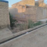 شیبان کوی گلستان