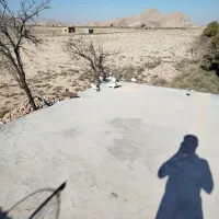 کبوتران عالی وخوب|پرنده|نیریز, |دیوار