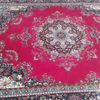 فرش ۳/۴|فرش|نیشابور, بنیاد شهید|دیوار