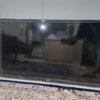 تلوزیون ال ای دی  ۳۲ اینچ سامسونگ