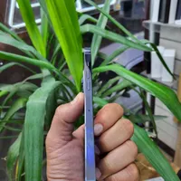 اپل  ۱۳ Pro Max|موبایل|دزفول, |دیوار