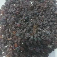 ۵۰۰کیلو کشمش درجه یک