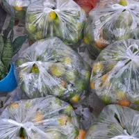 نارنج آبدار و تمیز تحویل رایگان