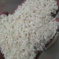 برنج طارم هاشمی