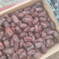 خرما فرض درجه یک تازه|خوردنی و آشامیدنی|منوجان, |دیوار